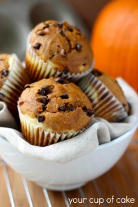 Chocolate-Chip-Pumpkin-Muffins-with-Cream-Cheese-Swirl-682x1024